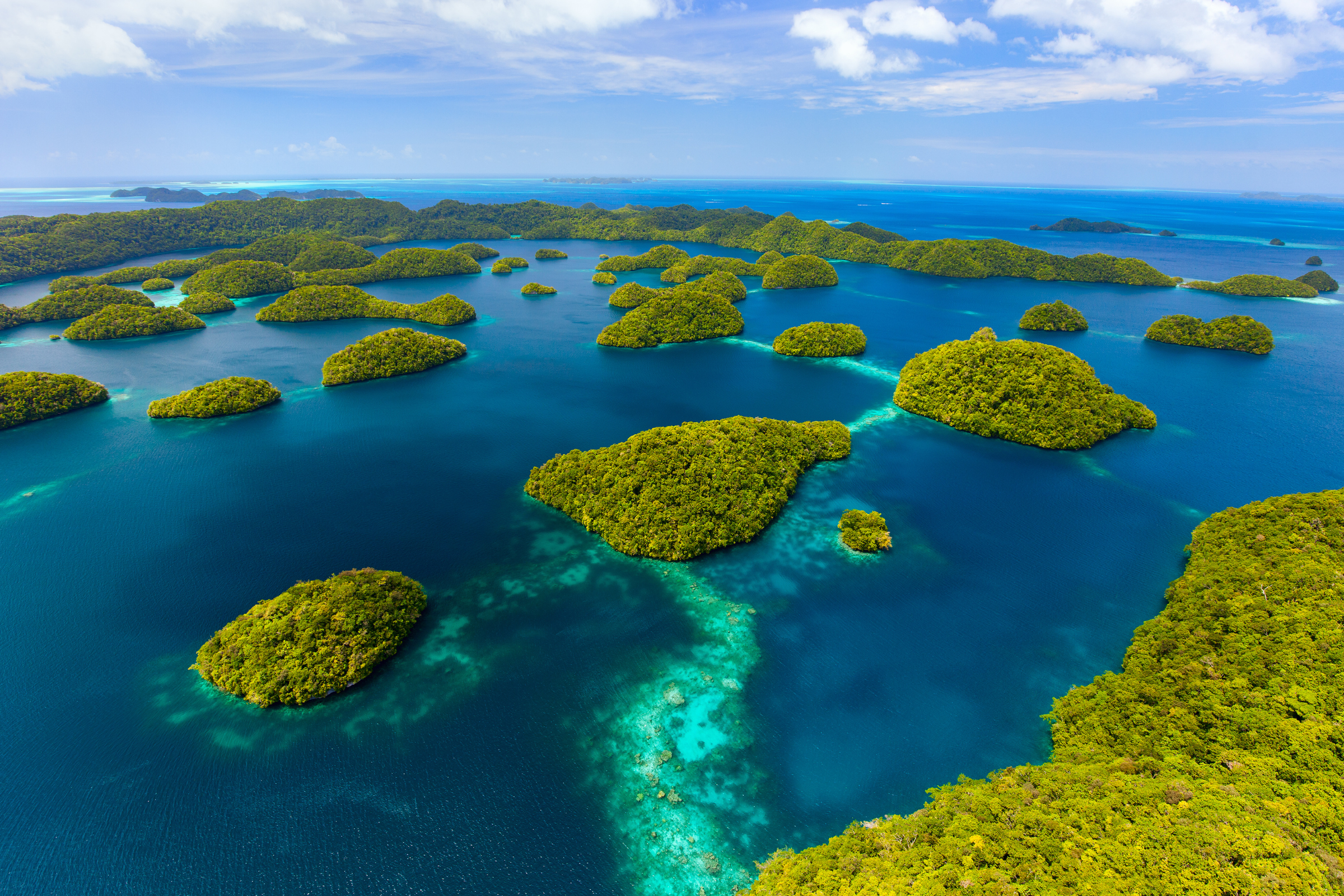 25 palau islands.webp